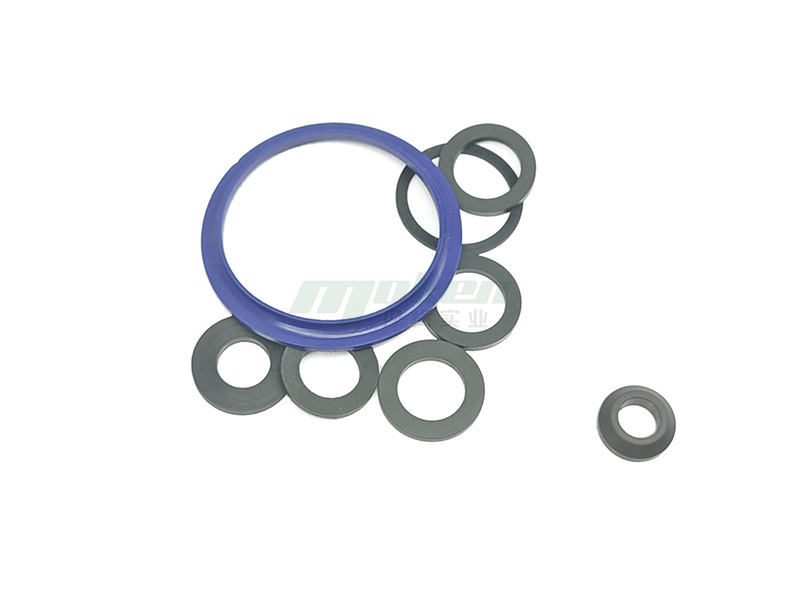 EPDM gasket (2)