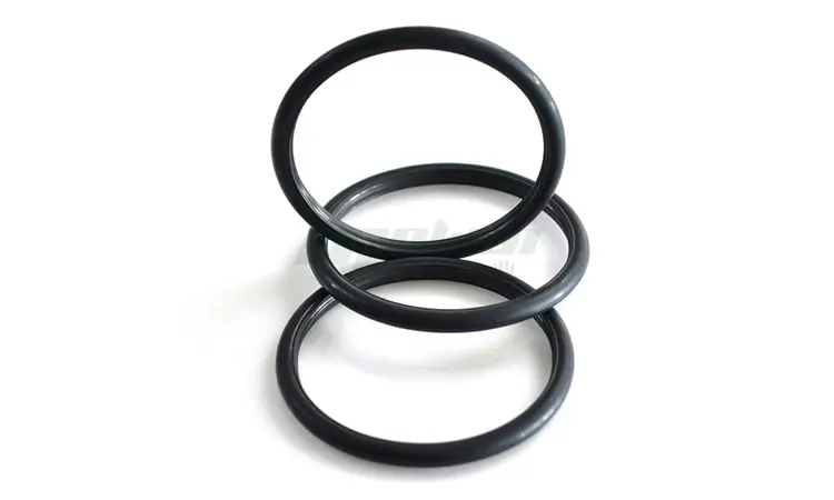 Rubber O-ring with protrusions (3)